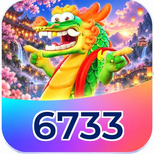 6733 FAQ